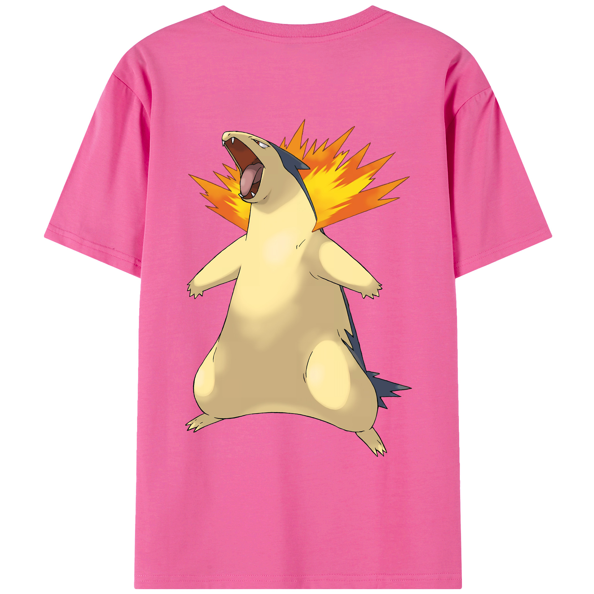 （画像用） ポケットモンスター Pokémon レディース半袖Tシャツ(バックプリント)
